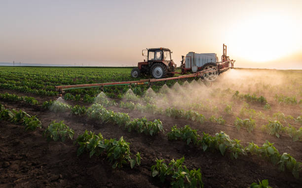 Best Pest Removal Services  in Minden, NE