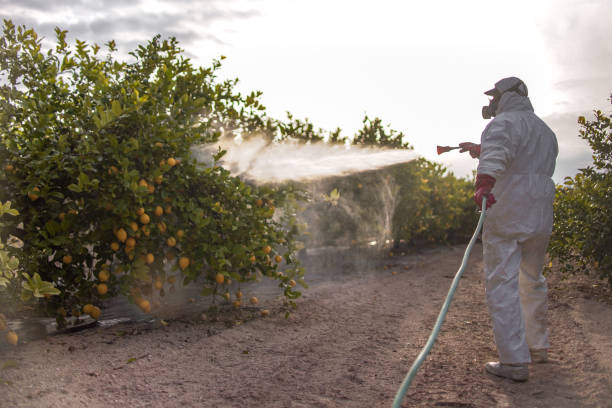 Best Pest Prevention Services  in Minden, NE