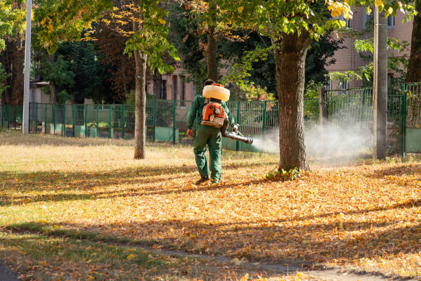 Best Commercial Pest Control Services  in Minden, NE