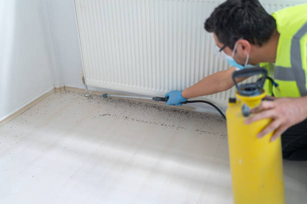 Best Affordable Pest Control Services  in Minden, NE