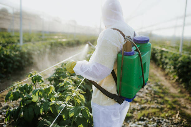 Best Best Pest Control Companies  in Minden, NE